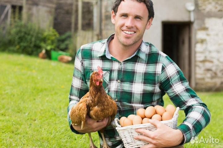 Работник на инкубатор (Вахта)