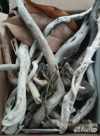 Дрифтвуд морские деревяшки Изогнутые палочки