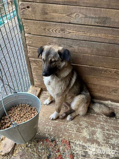 Забери меня домой