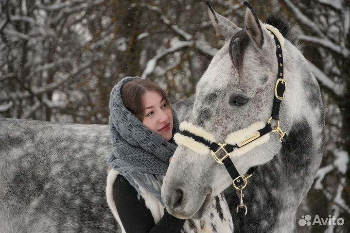 Фотограф, фотосессии с лошадьми, фотопрогулки