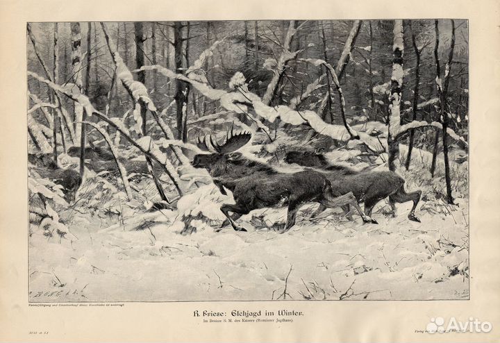 Литография. Охота. Олени. Лоси. Заяц