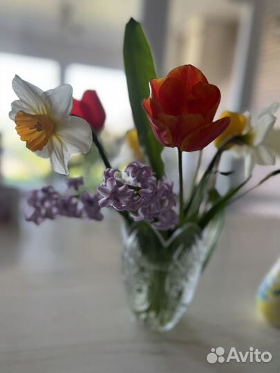 Няня сиделка