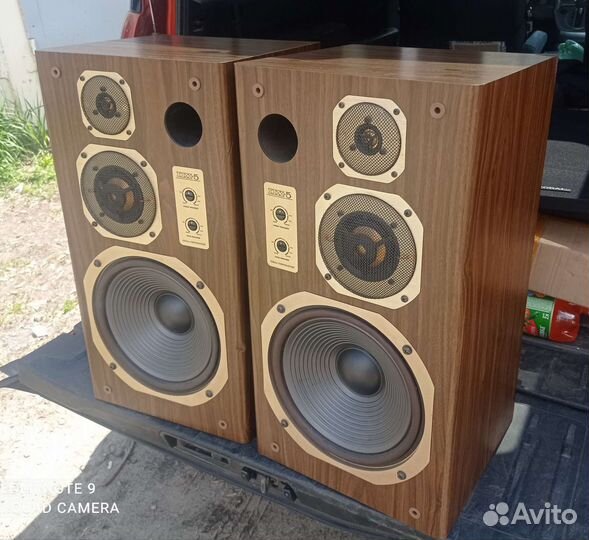 Колонки Coral DX-5