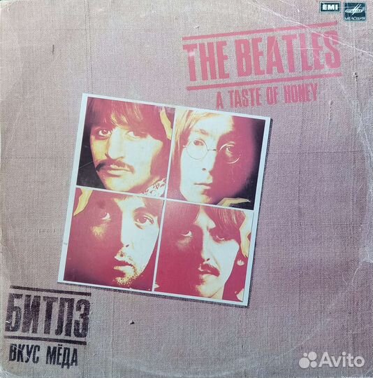 Виниловая пластинка