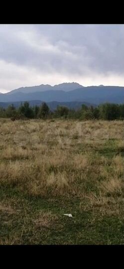 Участок 35 сот. (СНТ, ДНП)