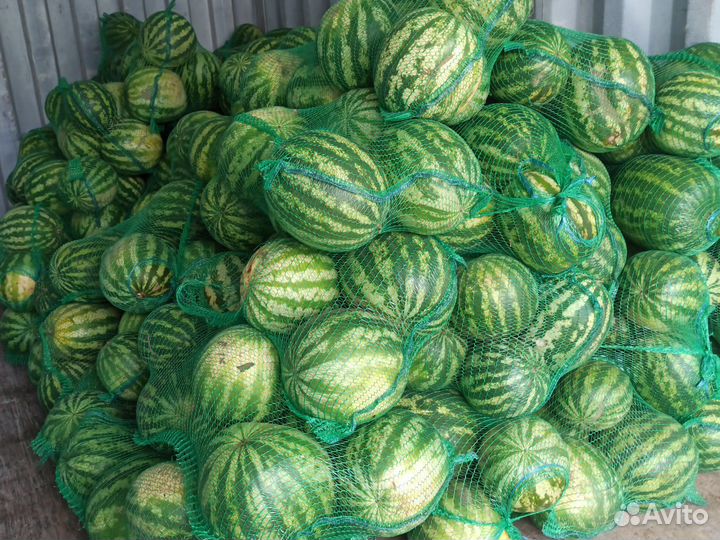 Арбузы Рубцовский красный, сладкий