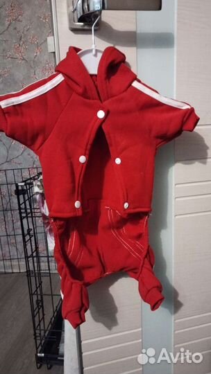 Комбинезон для маленькой собаки