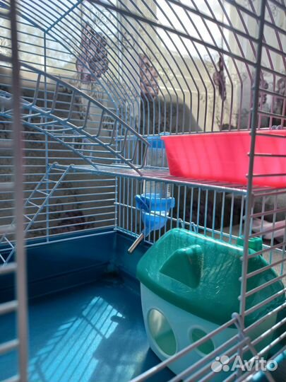 Клетка для грызунов