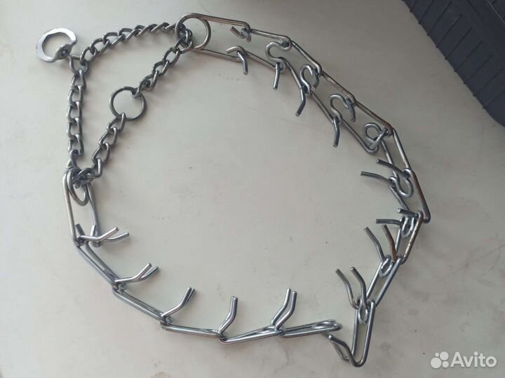 Строгий ошейник для собак