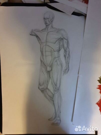 Работы по рисунку и живописи, графика