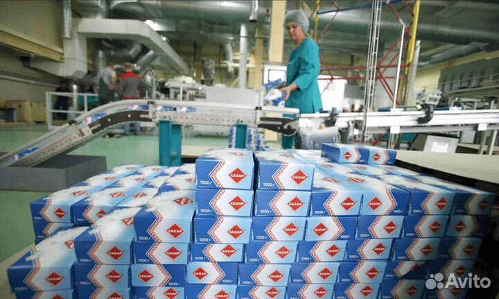 Рабочие на производство сахара/Краснодарский край