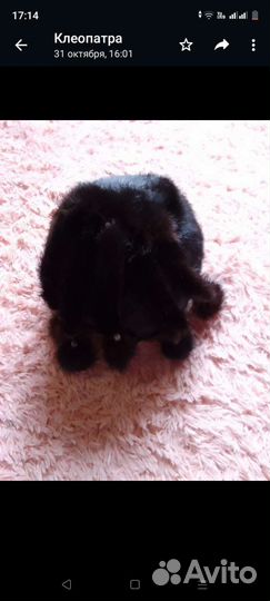 Шапка норковая женская