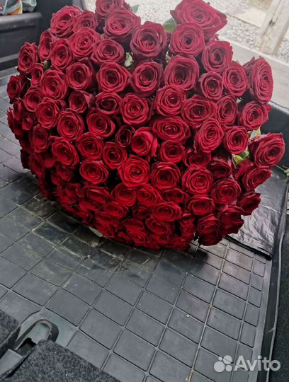 Розы, букет цветов, 101 роза. Розы опт