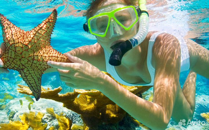 Египет на 2Взр Всё Вкл в ноябре