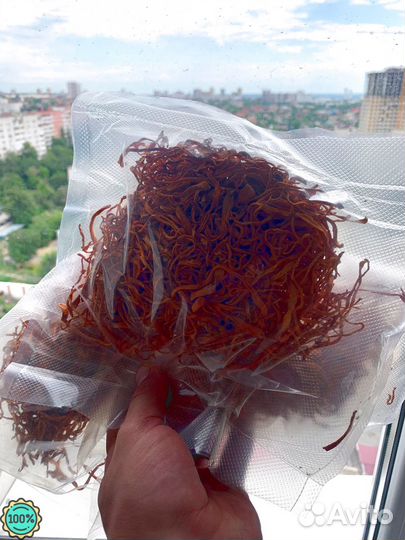 Кордицепс гриб