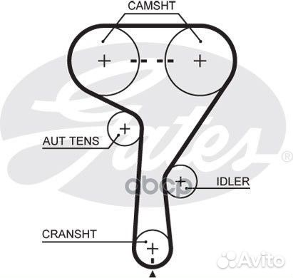 Ремень грм Opel Astra/Meriva/Signum/Vectra/Zafi