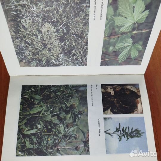 Справочник по лекарственным растениям. 1992г