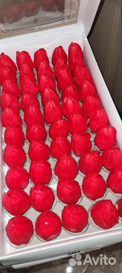 Мыльные тюльпаны