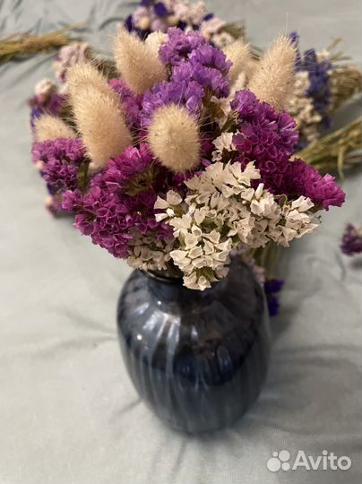 Цветы статица