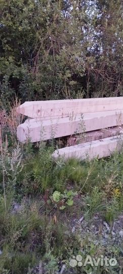 Сваи жби бу