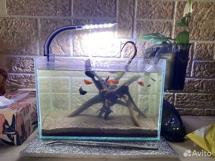Аквариум