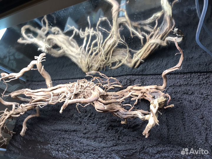 Коряги для аквариума и террариума