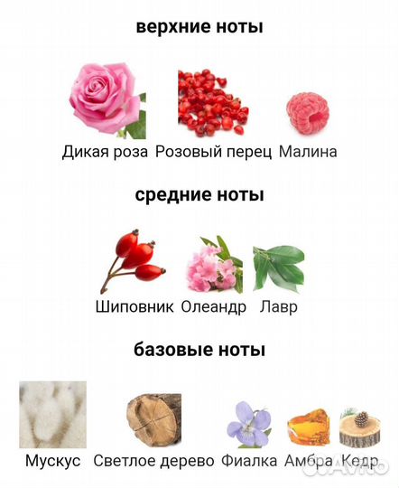 Парфюмерия nina ricci