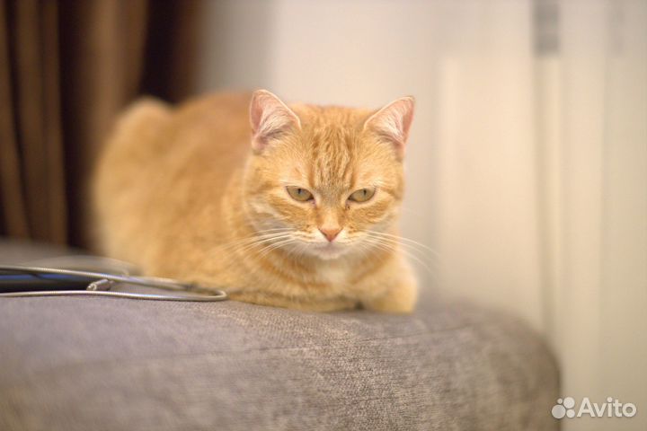 Пленочный фотоаппарат зенит 122