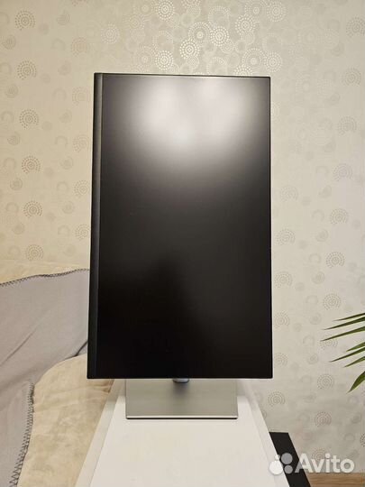 Монитор Dell P2422H