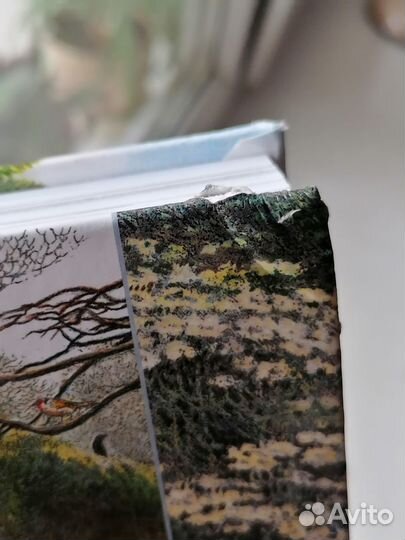 Фрэнсис Бёрнетт, Таинственный сал, Инга Мур