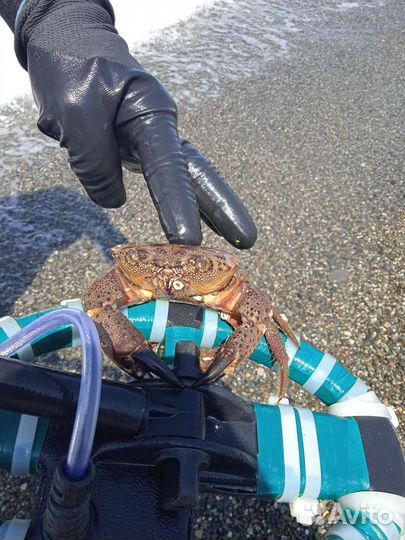 Поиск украшений в воде и на суше металлоискателем