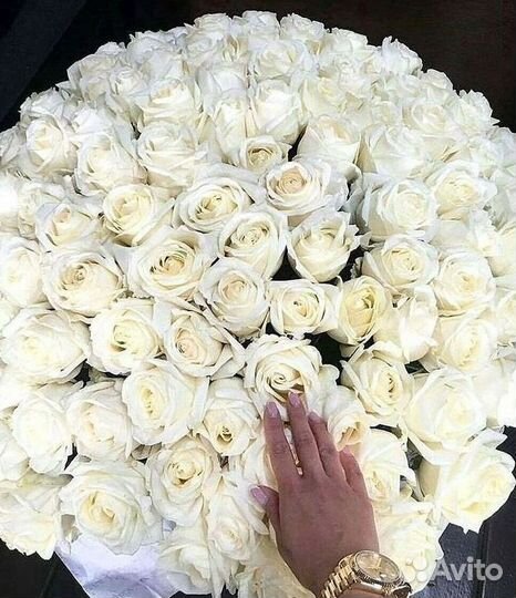 101 Роза Цветы Букеты 51 25 Роз Доставка