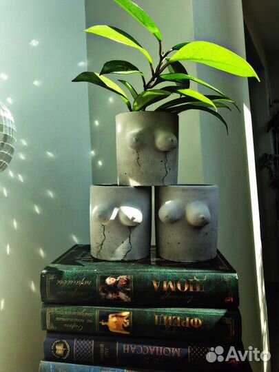 Кашпо для цветов