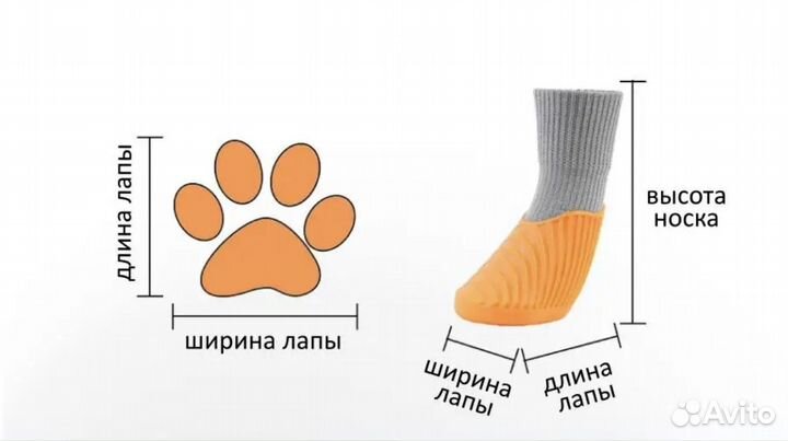 Обувь для собак