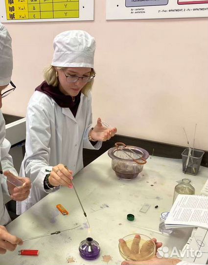 Помощь с домашним заданием