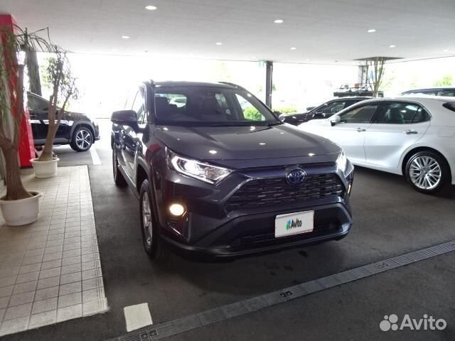 Toyota RAV4 2.5 AT, 2019, 55 000 км