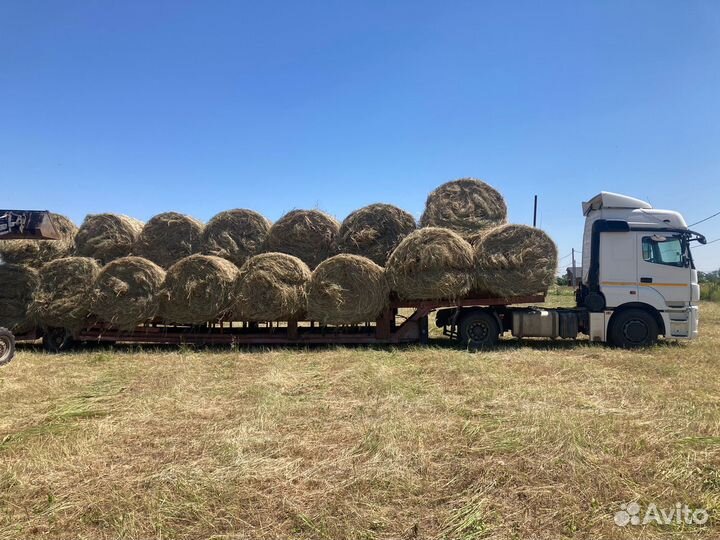 Сено Солома