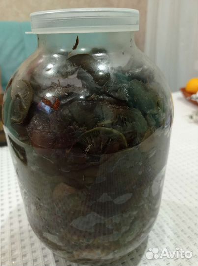 Грибы солëные. Рыжики