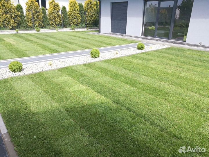 Газон рулонный