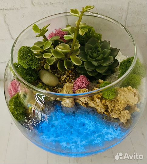 Флорариум. Уникальный подарок