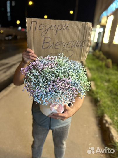 Гипсофилы 25 шт