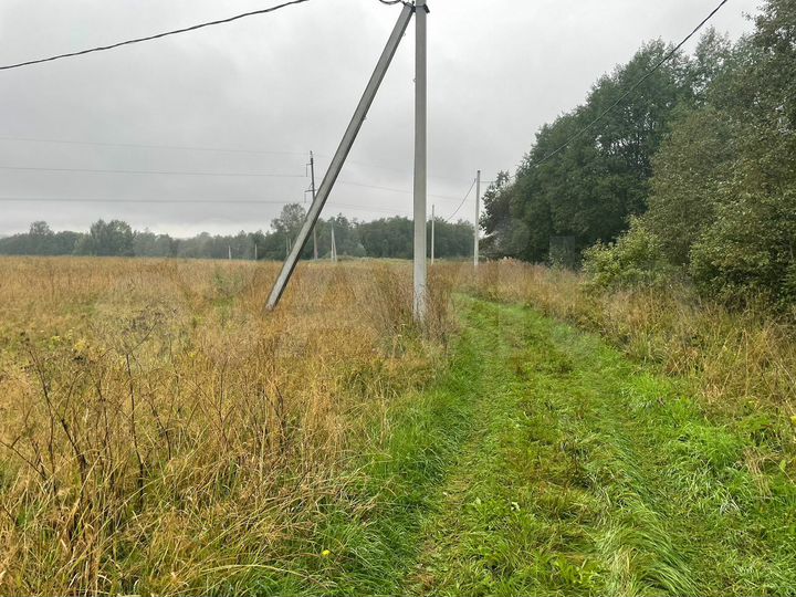 Участок 1,5 га (ИЖС)