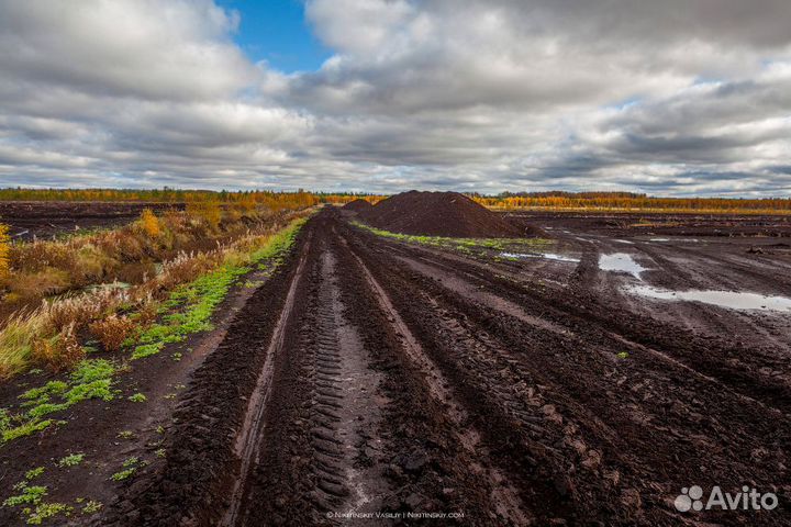 Плодородный грунт