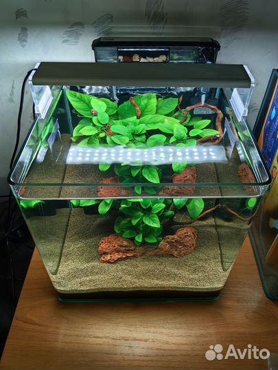 Аквариум куб