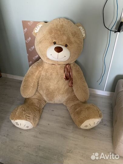 Плюшевый медведь