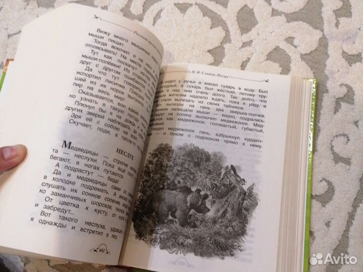 Внеклассное чтение 5+