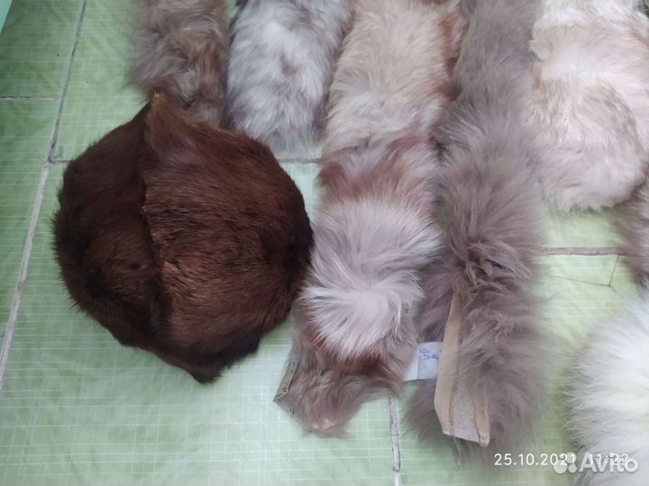 Мех песца для творчества