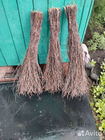 Метла березовая перевязаная металической проволкой