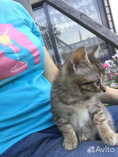 Ищем дом/семью Виктору Ивановичу