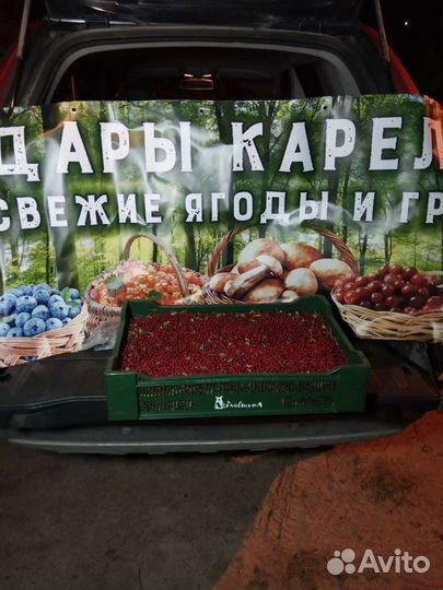 Клюква свежая спелая крупная чистая немороженная